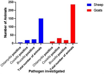 Sero-epidemiological study of zoonotic bacterial abortifacient agents in small ruminants